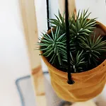Apartament Sal Da Terra