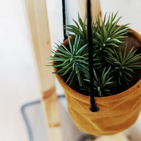 Διαμέρισμα Sal Da Terra