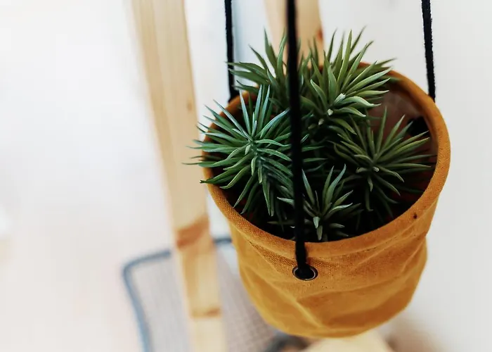 Apartman Sal Da Terra